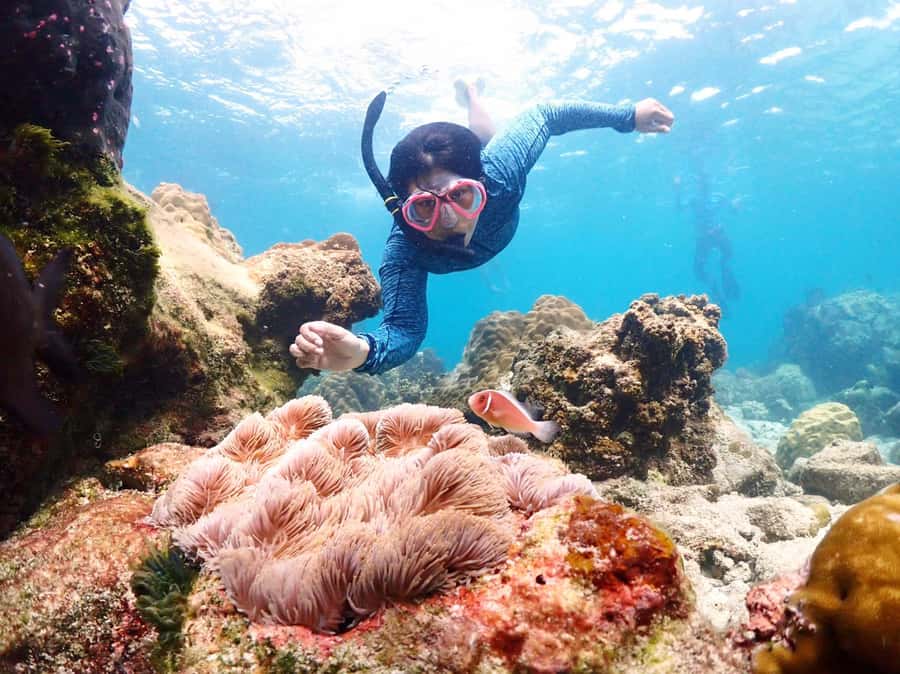 Snorkeling Full Day Experience from Bangkok - Should you book this full-day Samae Sarn Bay tour?