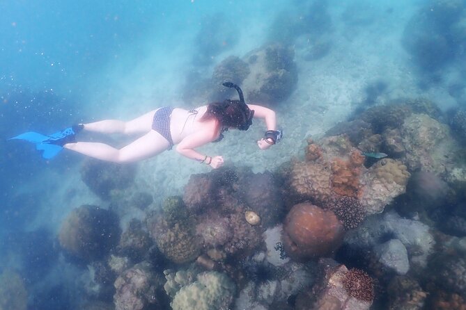 Snorkeling Full Day Experience from Bangkok - Three snorkeling stops around Samae Sarn Bay: fish, coral, and photo timing