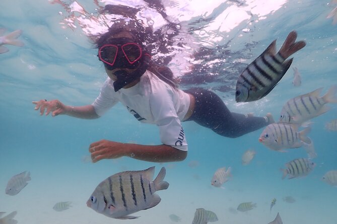Snorkeling Full Day Experience from Bangkok - Lunch and the fisherman market: fuel and local flavors