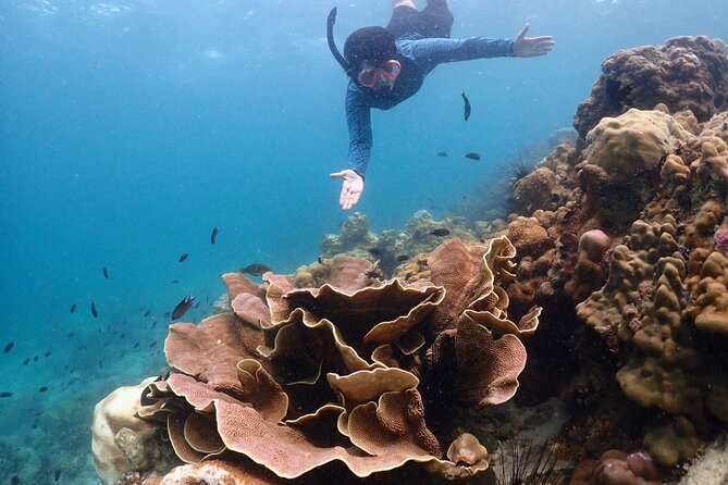 Snorkeling Full Day Experience from Bangkok - Getting there from Bangkok: 8 hours with real transfer time