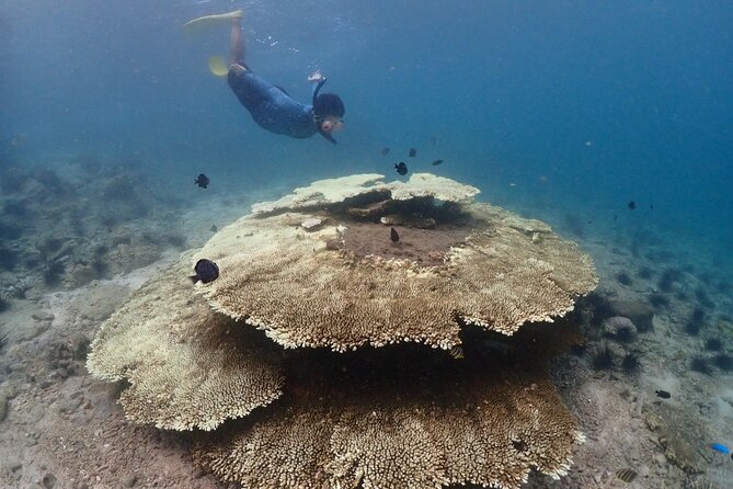 Snorkeling Full Day Experience from Bangkok - Gear and comfort: what you bring (and what costs extra)