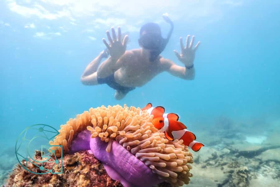 Snorkeling Full Day Experience from Bangkok - Who this trip fits best (and who should skip it)