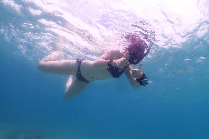 Snorkeling Full Day Experience from Bangkok - Sea Turtle Conservation Center in Sattahip: learning that changes how you snorkel