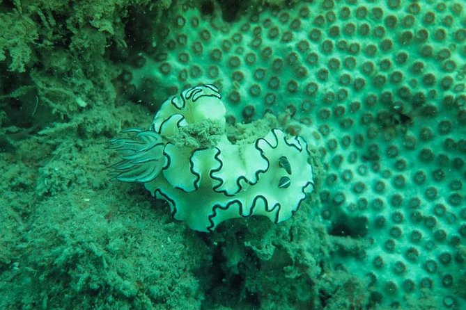 Snorkeling Tour to 4 Islands(Emerald Cave) From Koh Lanta by Speedboat - Costs and the national park fee you must plan for
