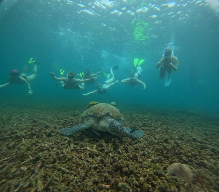 Snorkeling Tour with meals and BBQs - Cocktail - Sunset⭐⭐⭐⭐⭐ - A 20-Person Boat Around Koh Tao (Not a Crowd Boat)