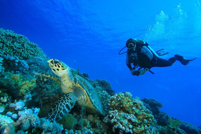 SSI | Padi Open Water Course in Phuket - Day 1 Skills in Chalong: Learn to Manage Your Gear and Yourself
