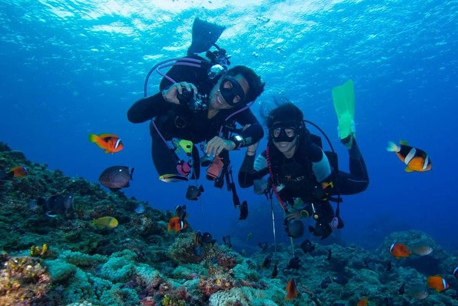 SSI | Padi Open Water Course in Phuket - Day 3 Ko Racha Noi: A Wilder, More Remote-Feeling Visibility Day