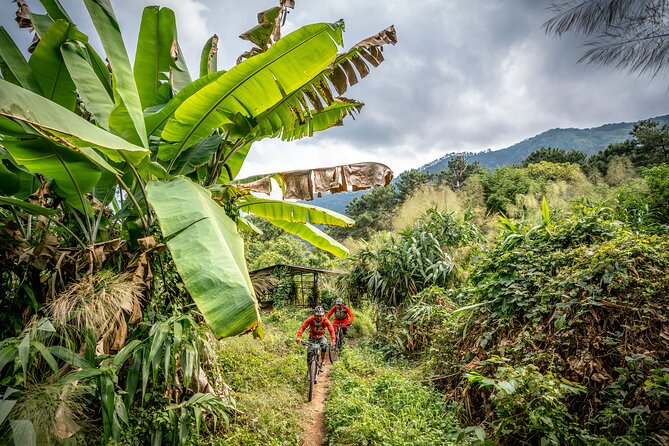 Stairway to Heaven Trail Mountain Biking Tour Chiang Mai - Stairway to Heaven: what this ride actually asks of you