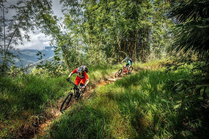 Stairway to Heaven Trail Mountain Biking Tour Chiang Mai - Trailhead start at 8:30, plus that coffee warm-up