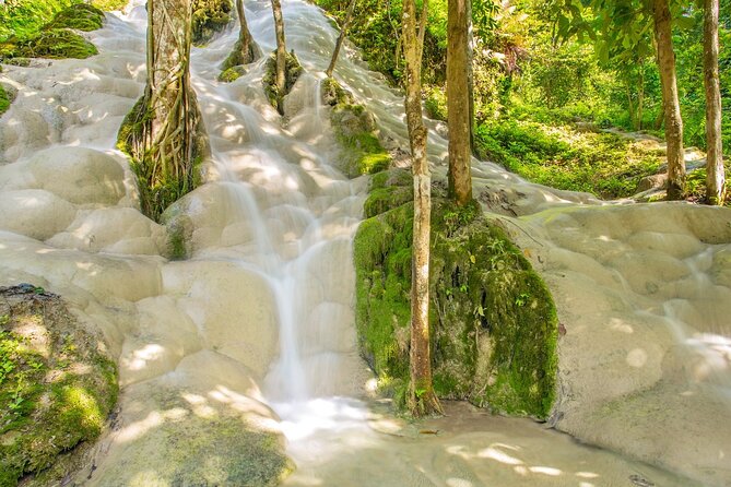 Sticky Waterfall Chiang Mai and Mae Ngat Boat Tour - Price and value: what $63.37 really buys you