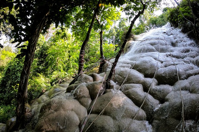 Sticky Waterfall Cycling Tour - Key things you’ll notice on this tour