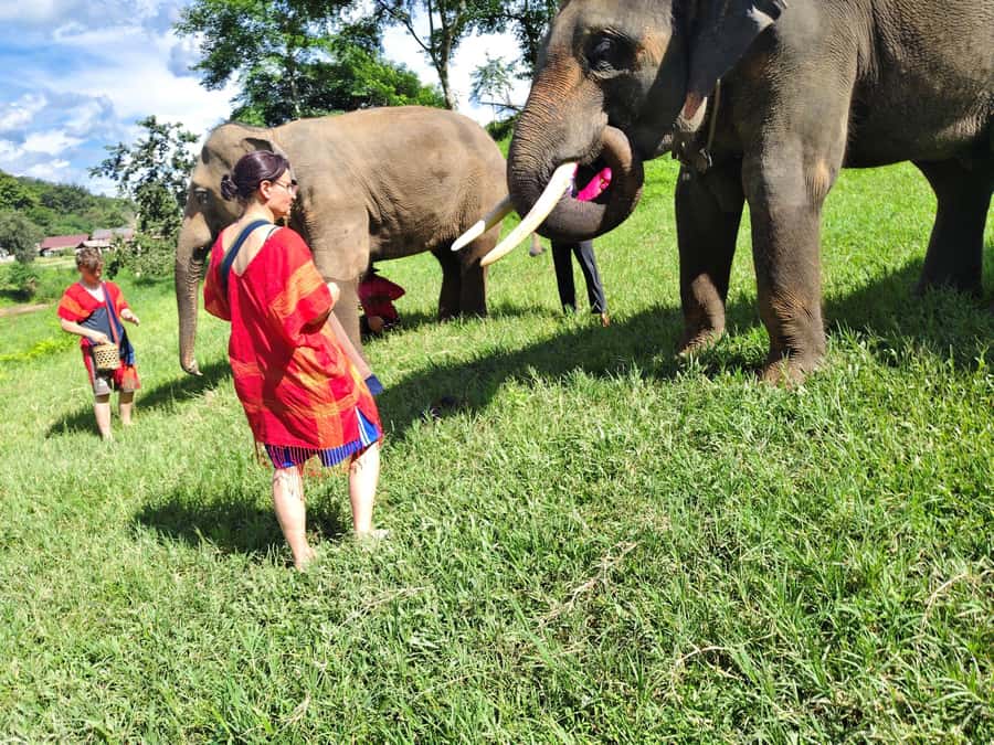 Sticky waterfalls- Elephants- Bamboo or White water rafting. - From Chiang Mai pickup to Mae Taeng: the day’s rhythm
