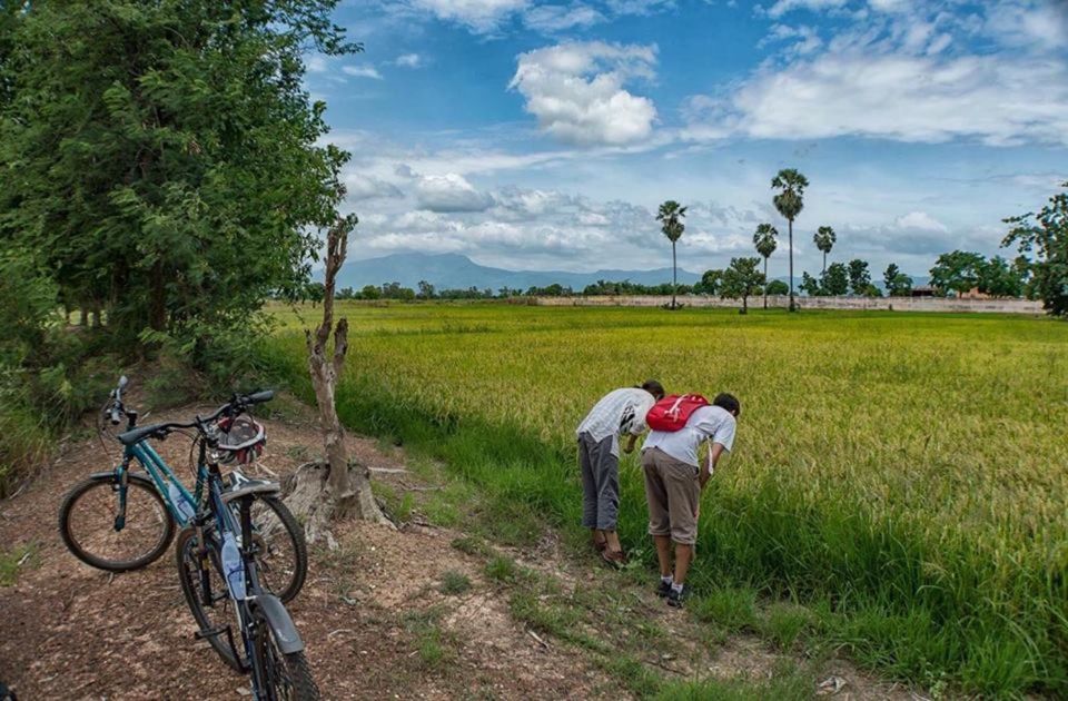 Sukhothai: Half-Day Countryside Bike Tour - Food and Breaks: Lunch, Snacks, and Hydration Actually Matter