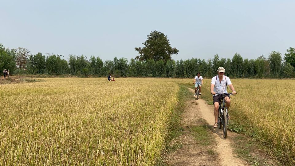Sukhothai: Half-Day Countryside Bike Tour - Canal Cycling: Watching Irrigation Life Up Close
