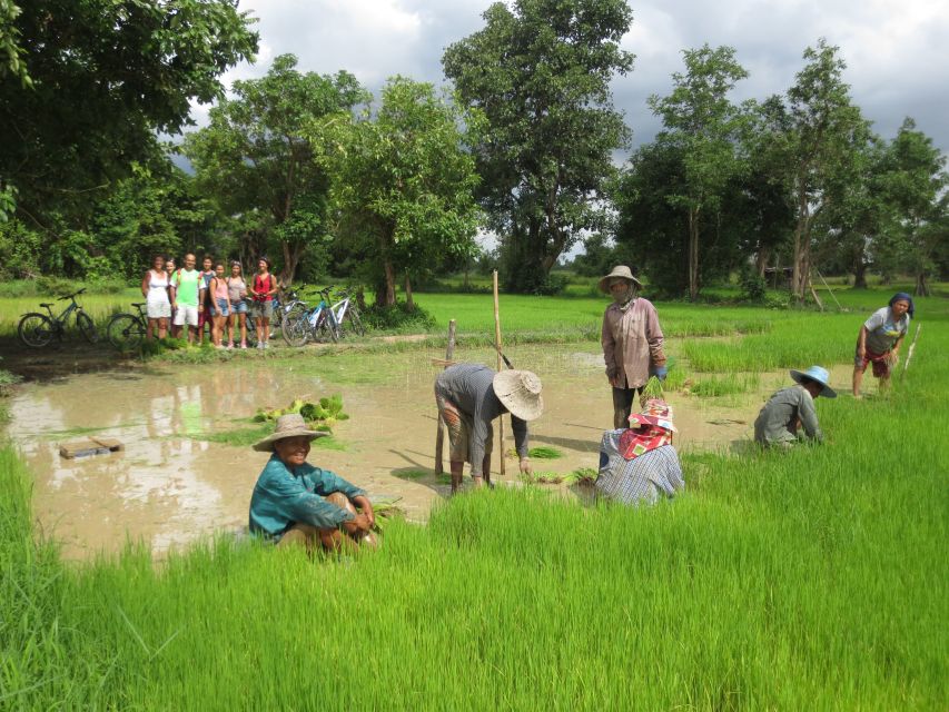 Sukhothai: Half-Day Countryside Bike Tour - Rice Paddies and Dirt Road: The Part You’ll Remember