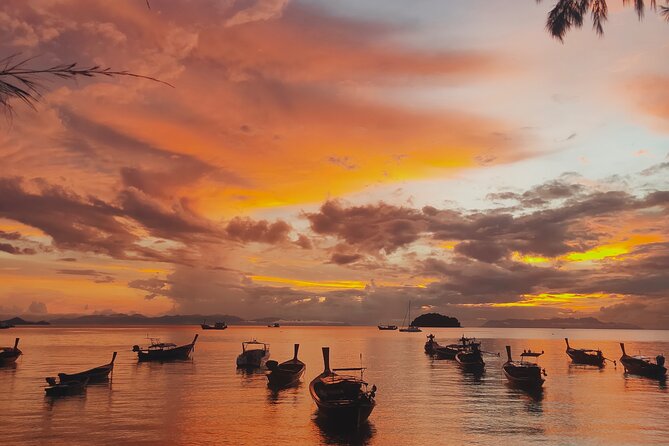 Sunrise yoga class overlooking the beach, the sea & sunrise . - Beginner-Friendly Yoga Without the Awkwardness