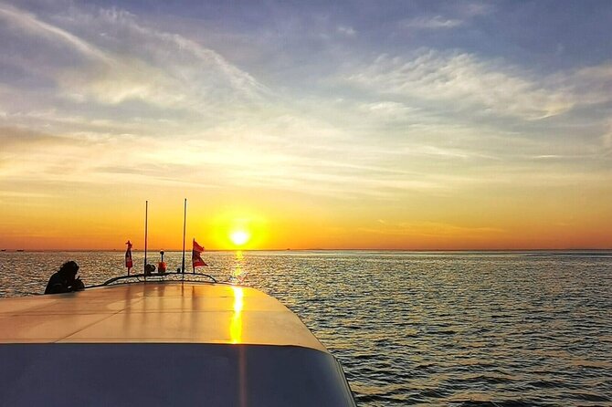 Sunset and Plankton Snorkeling by Speedboat from Phi Phi Don - Monkey Bay macaques: the fun, chaotic wildlife stop