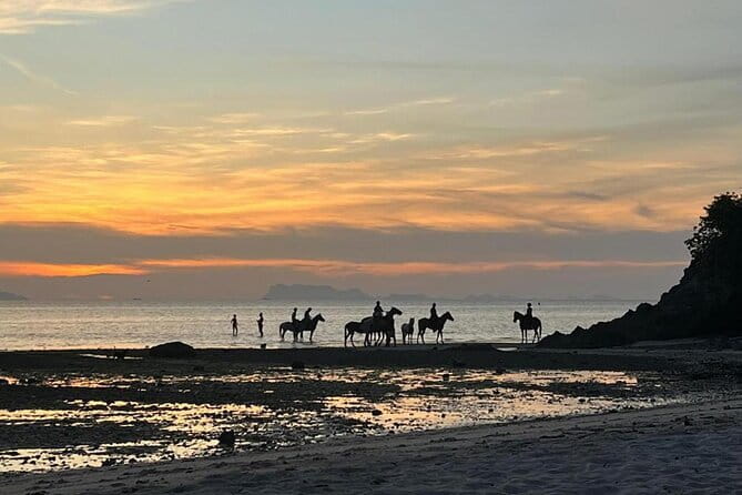 Sunset Beach Horseback Ride Phuket - Where it starts: check-in at COLTS Horse Riding Phuket