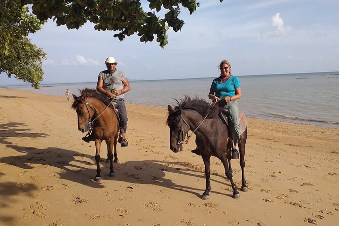 Sunset Horse Riding And BBQ Dinner Tour At Ao Nam Mao Beach Krabi - Ao Nam Mao at 5pm: why this timing matters