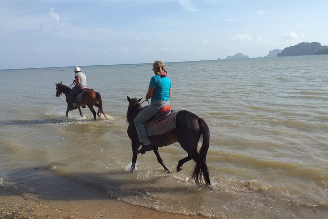 Sunset Horse Riding And BBQ Dinner Tour At Ao Nam Mao Beach Krabi - Pickup, timing, and small-group feel
