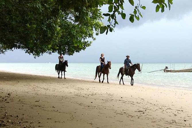 Sunset Horse Riding Tour at Ao Nam Mao Beach Krabi - Safety Rules That Matter (Even When the Ride Feels Easy)