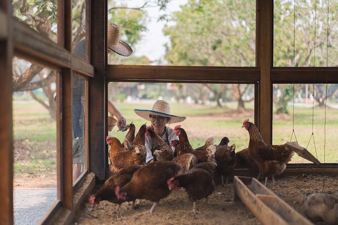 Sunset Thai Cooking with Grandma - Farm & Evening Feast - Eating the farm feast: a meal built from your own work