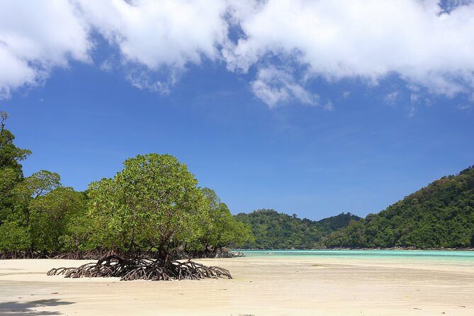 Surin Islands 2 Days 1 Night Trip from Khao Lak - Moken Community Visit: Why This Stop Matters