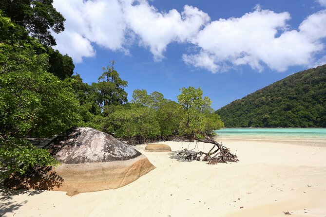 Surin Islands 2 Days 1 Night Trip from Khao Lak - National Park Lunch and Check-In: Settle In Without Losing the Day