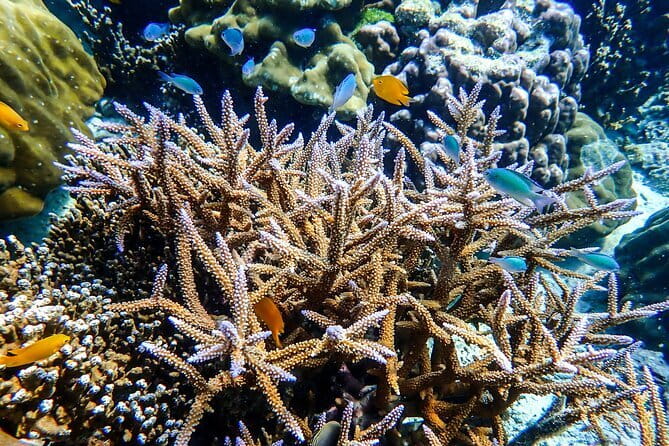 Surin Islands Overnight Beach Camping and Snorkeling Adventure - From Khao Lak to Surin: how the trip actually feels