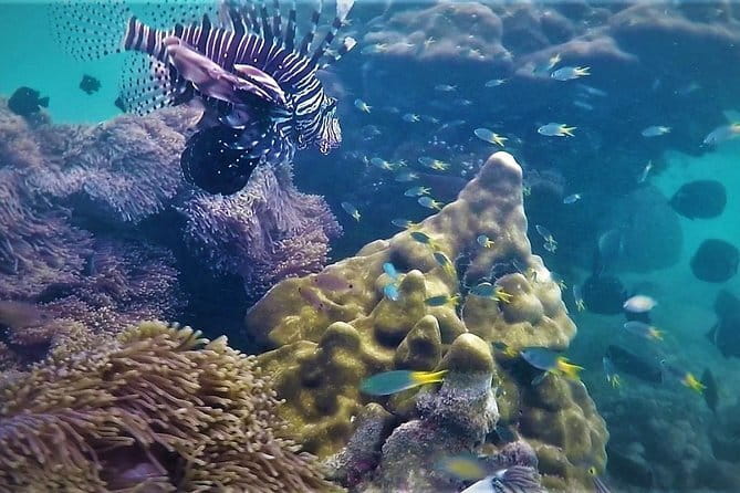 Surin Islands Overnight Beach Camping and Snorkeling Adventure - Day Two choices: longtail snorkeling or nature trails