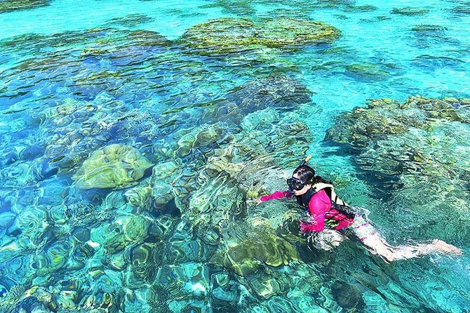 Surin Islands Snorkeling Day Trip By Love Andaman From Khao Lak - Food on board: more than a snack between swims