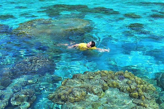 Surin Islands Snorkeling Day Trip By Love Andaman From Khao Lak - Price vs value: what $119.14 really buys you