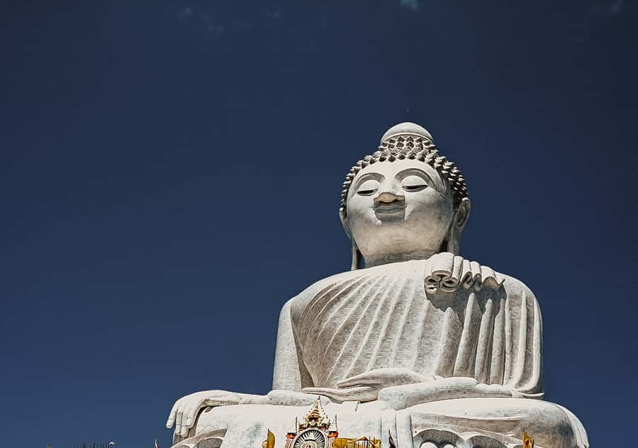 Temple and Jungle Trekking tour with Lunch at Farm-to-Table - Key Highlights You’ll Actually Feel