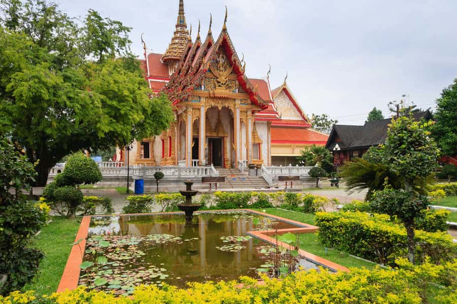Temple and Jungle Trekking tour with Lunch at Farm-to-Table - Who Should Book This Trek (and Who Might Not)