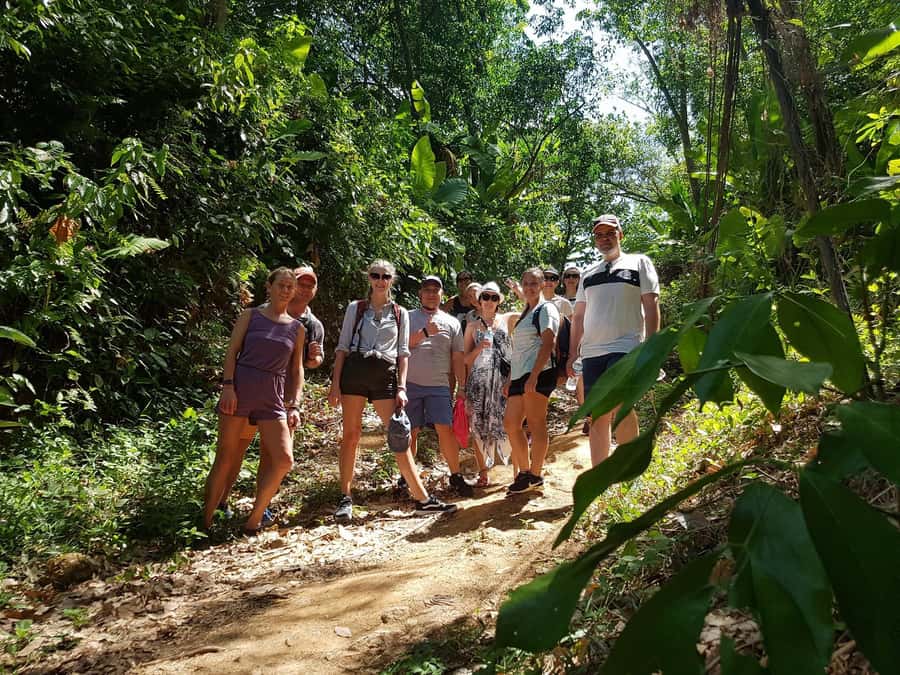 Temple and Jungle Trekking tour with Lunch at Farm-to-Table - Wat Luang Phu Supha: Merit-Making, Chanting, and a Monk’s Blessing