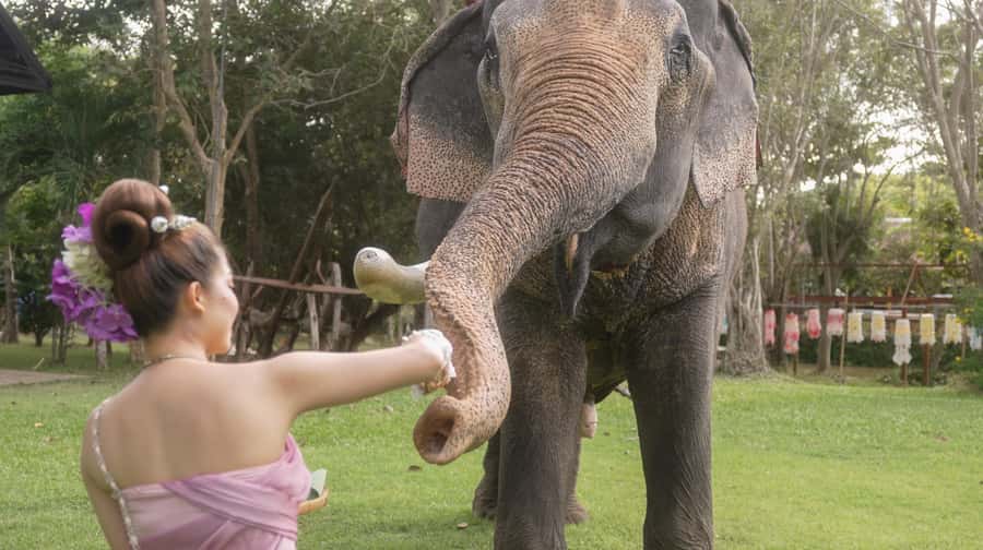 Thai Thani Cultural Village Admission Ticket ( PACKAGE - B ) - Thai Thani Cultural Village in Pattaya: What Package B Really Includes