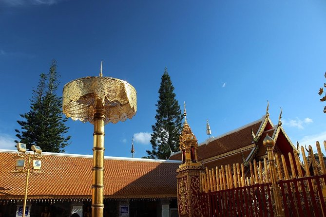The Best Chiang Mai City Private Tour: Famous Temples & Viewpoint - Morning Flow: Wat Chedi Luang to the Doi Suthep Area