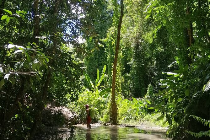 The Best Full Day Tour: Doi Suthep, Wat Phalat, Sticky Waterfall - Wat Pha Lat in the Forest: A Calmer Temple Stop You’ll Remember