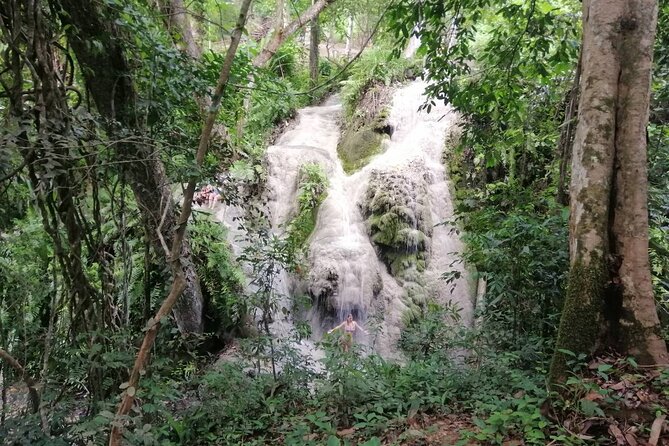The Best Full Day Tour: Doi Suthep, Wat Phalat, Sticky Waterfall - Value and Price: What You’re Really Paying For