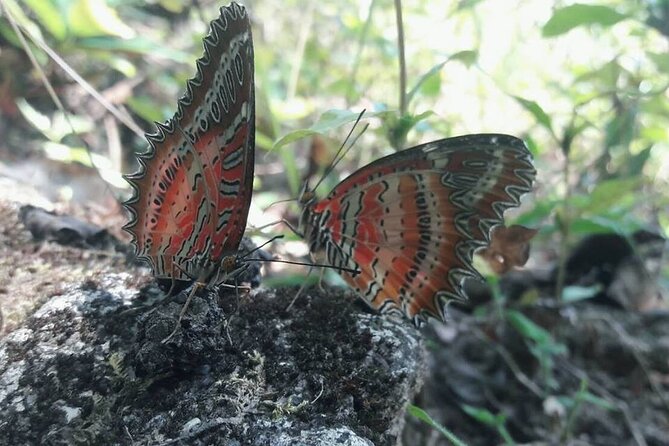 The Best One Day Trip Of Doi Inthanon National Park - Stop 3: Royal Agricultural Station Inthanon (nature with a practical side)