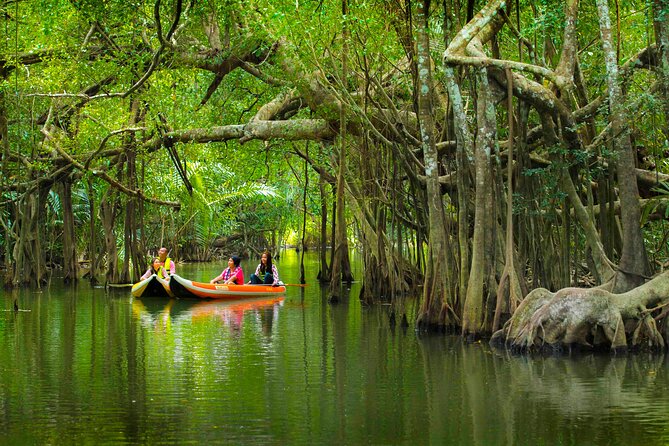 The Little Amazon and Sri Phang Nga Waterfall Full Day Tour From Khao Lak - Key things to know before you go