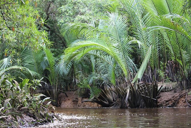 The Little Amazon and Sri Phang Nga Waterfall Full Day Tour From Khao Lak - Lunch at a local restaurant: fuel without heavy planning