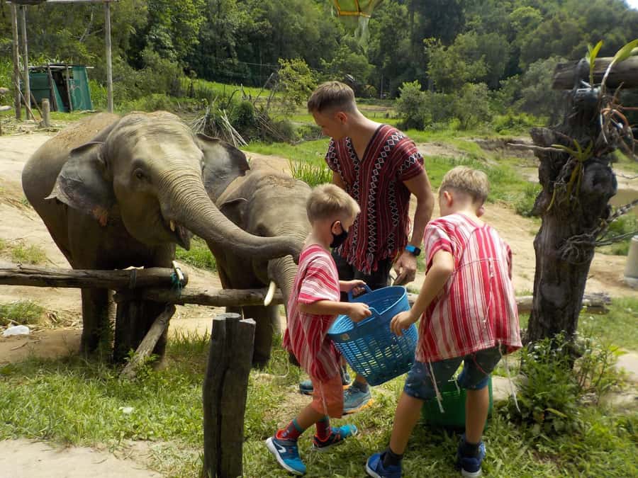 The Must-Do: Authentic Elephant & Village Life in Chiang Mai - Key highlights worth your attention