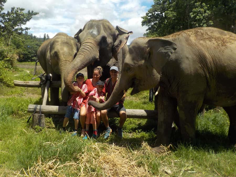 The Must-Do: Authentic Elephant & Village Life in Chiang Mai - Getting to Johnnyboy Elephant Care from Chiang Mai