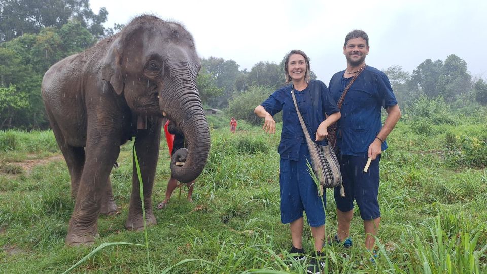 The Must-Do: Authentic Elephant & Village Life in Chiang Mai - Walking through the forest alongside elephants