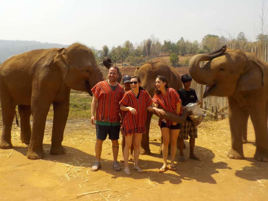 The Must-Do: Authentic Elephant & Village Life in Chiang Mai - River bathing: the moment people talk about afterward