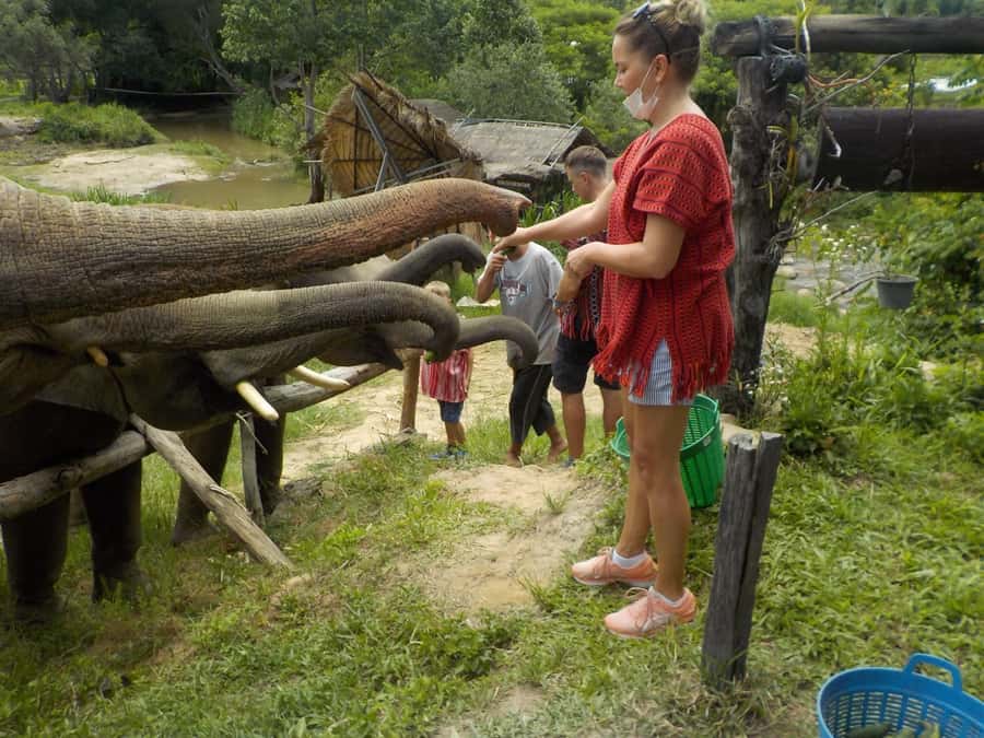 The Must-Do: Authentic Elephant & Village Life in Chiang Mai - Karen village visit: culture up close, without the hard sell