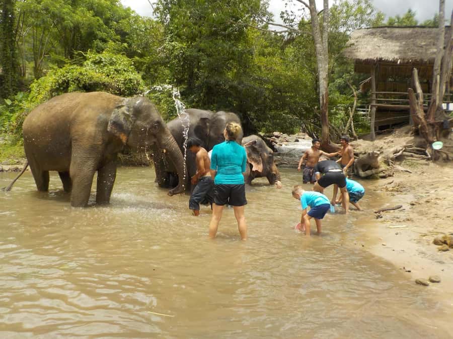 The Must-Do: Authentic Elephant & Village Life in Chiang Mai - Mae Wang Waterfall hike: short trek, big reward