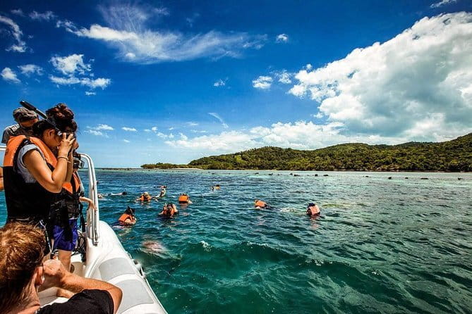 The Pigs Island snorkeling trip from Koh Samui by Speedboat - Snorkeling expectations: how to get the best experience