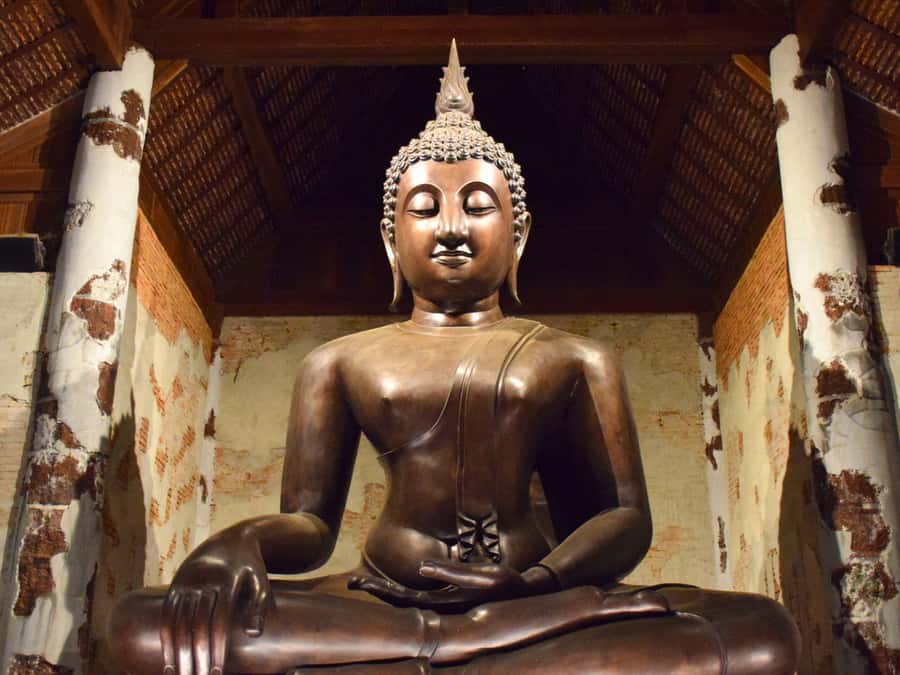 The Souls BKK: Floating Market, Dragon Temple, Na Satta Park - Bubble in the Forest Cafe: photos, peace, and a reset